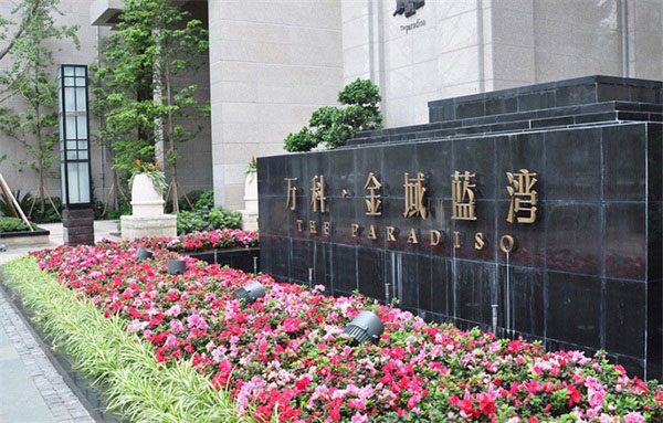 成功案例